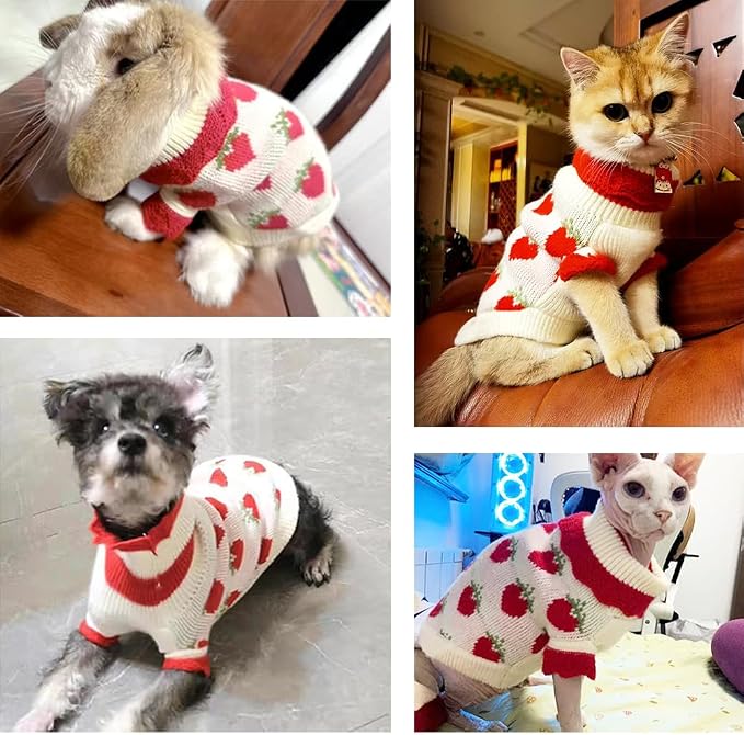 ANIAC Strawberry Turtleneck Cat Sweater Warm Knitted Small Dog Clothes - Image 6