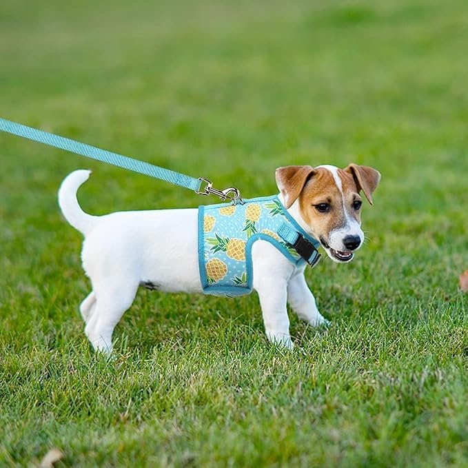 BINGPET Cat Harness with Leash Escape Proof - Image 6