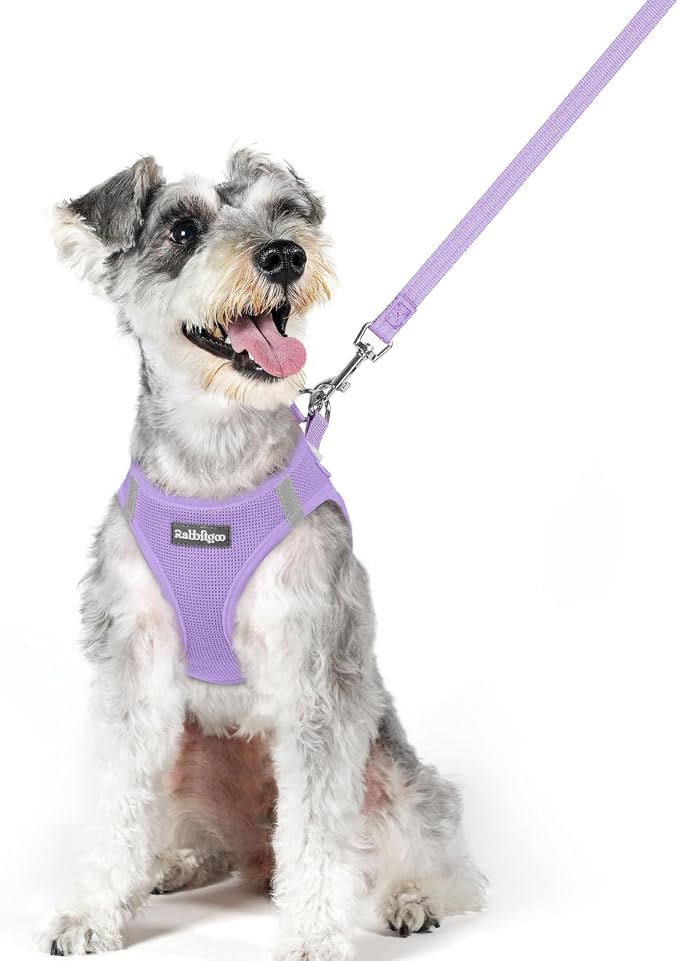 rabbitgoo Dog Harness Small Medium Sized and Leash Set, Step in Soft Light by rabbitgoo