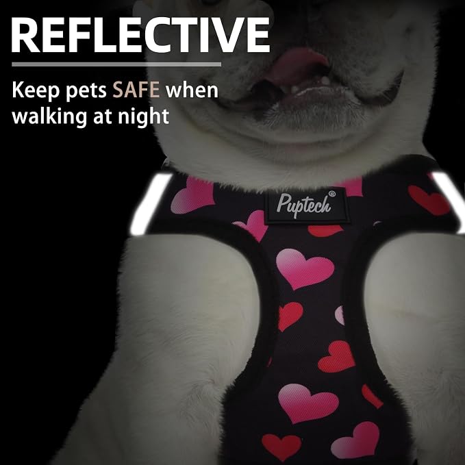 PUPTECK Dog Harness and Leash Set - Image 4