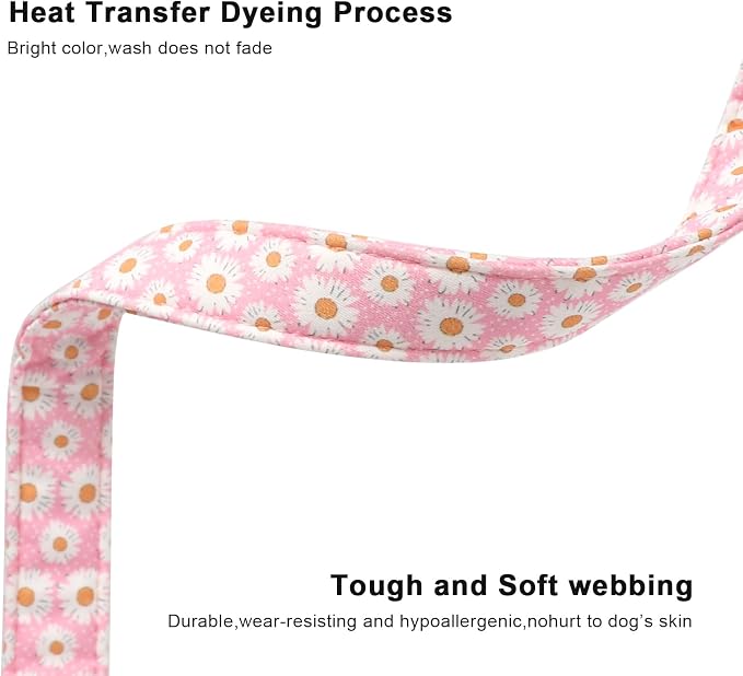 Lionet Paws Floral Dog Collar- Cute Daisy Pink Dog Collars - Image 6
