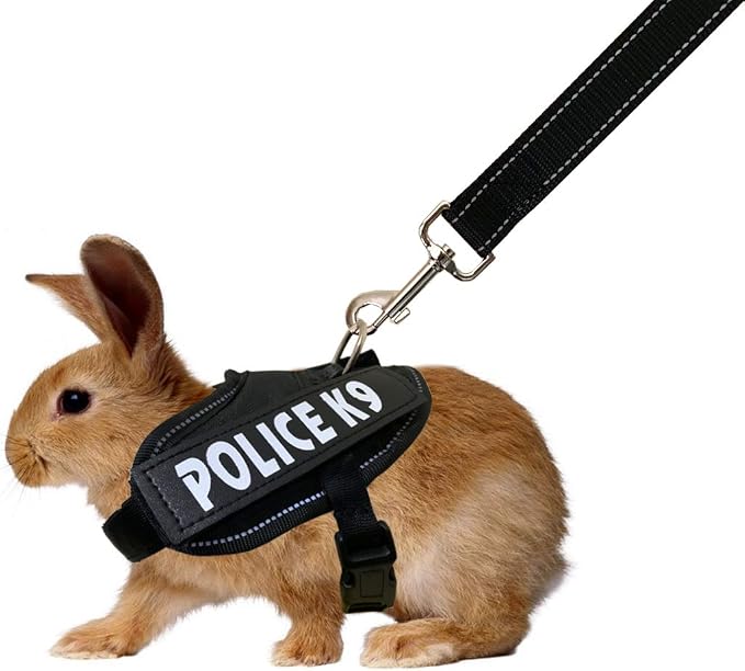 Vehomy Rabbit Harness with Leash by Vehomy