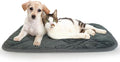 Self-Warming Cat Bed Indoor/Outdoor Super Soft Self Heating Pet Mat Washable by AUPETEK