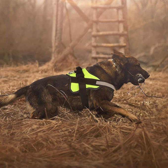 Bolux Dog Harness, No-Pull Reflective Dog Vest, Breathable Adjustable Pet - Image 4