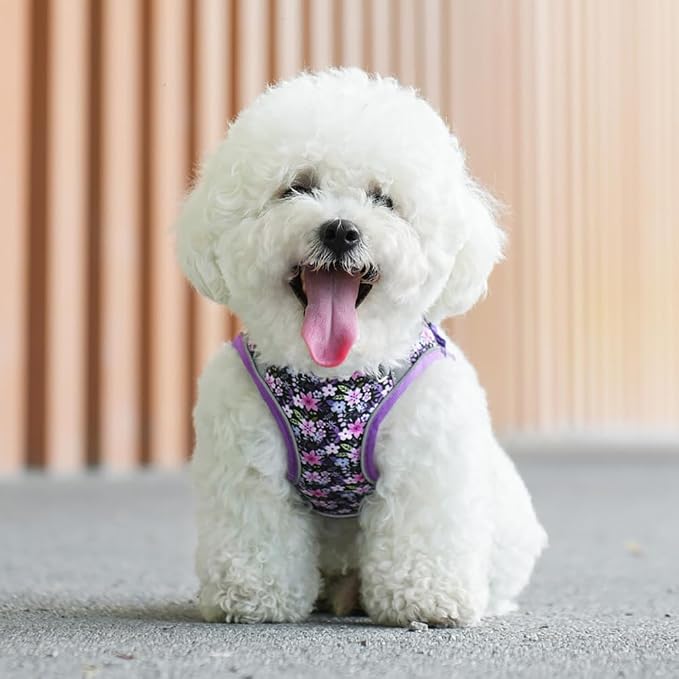 Step in Dog Harness and Leash Set, Flower Adjustable Easy Walk Puppy Harnesses - Image 5