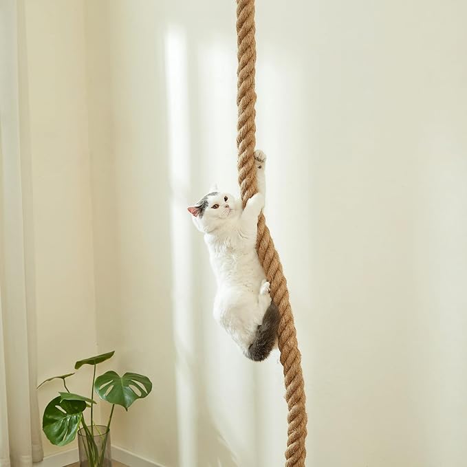 SHENGOCASE 1.9" x 8.9Ft Cat Climbing Jute Rope - Image 3