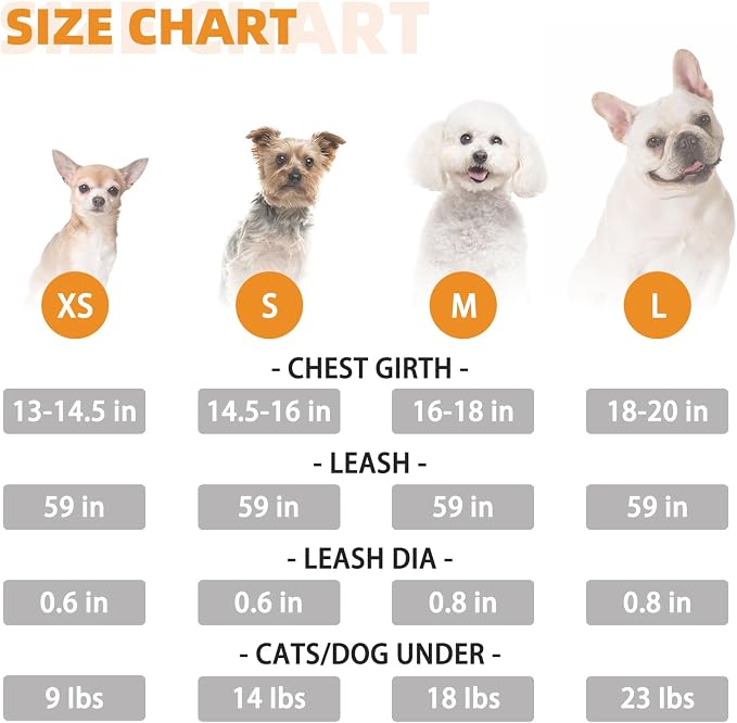 KOOLTAIL Dog Harness and Leash Set - Image 7
