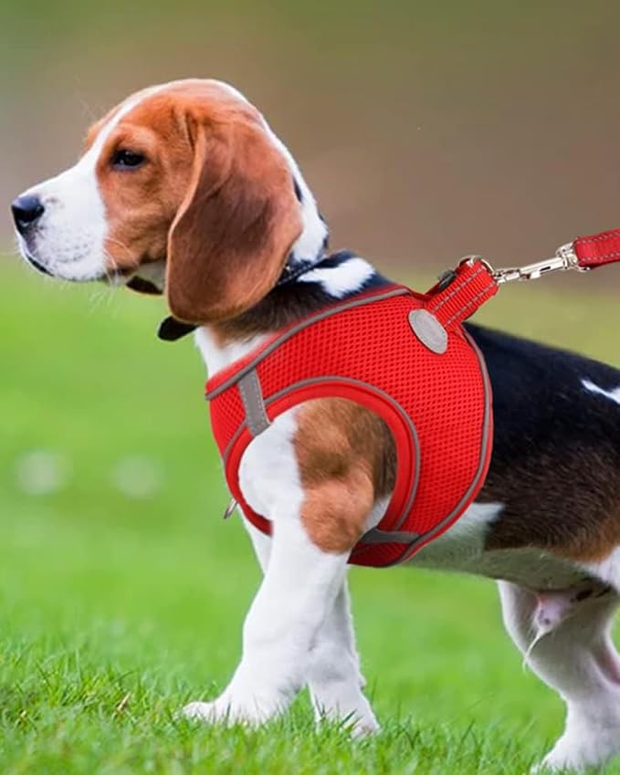 Joytale Small Dog Harness, Breathable Mesh Step-in Vest, Reflective Soft Padded - Image 2