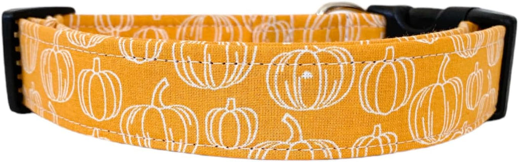The Vines Fall Pumpkin Dog Collar by Collars+by+Design