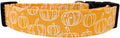 The Vines Fall Pumpkin Dog Collar by Collars+by+Design