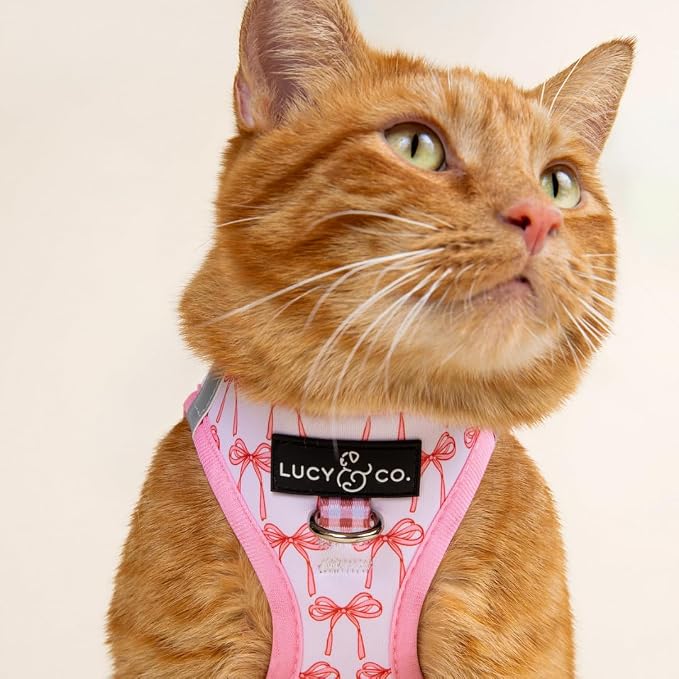 Lucy & Co. Take a Bow Step-in Cat Harness & Leash Bundle – Reflective, - Image 6