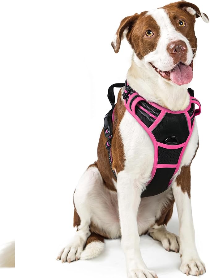 rabbitgoo Dog Harness No Pull by rabbitgoo