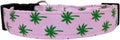 Palm Trees Dog Collar) by Collars+by+Design