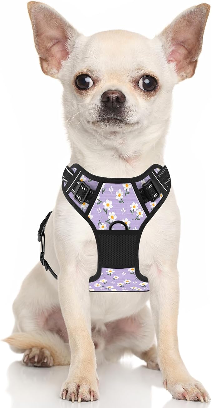 Rnivvi No Pull Dog Harness, Cute Flower Reflective Small Sized Puppy Harness - Image 2