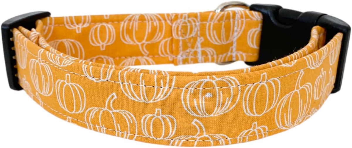 The Vines Fall Pumpkin Dog Collar - Image 2