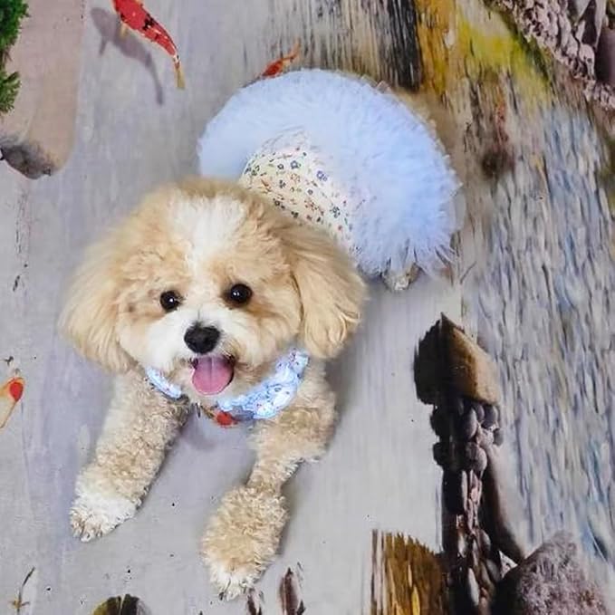Floral Puppy Dress with D-Ring Ruffled Small Dog Clothes Female Spring Cat - Image 5