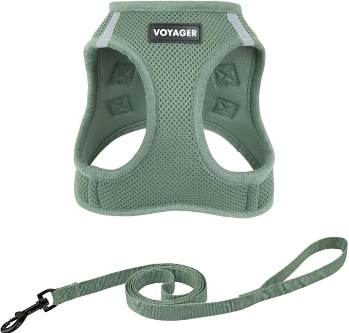 Voyager Step-in Pet Harness by BestPetSuppliesLLC