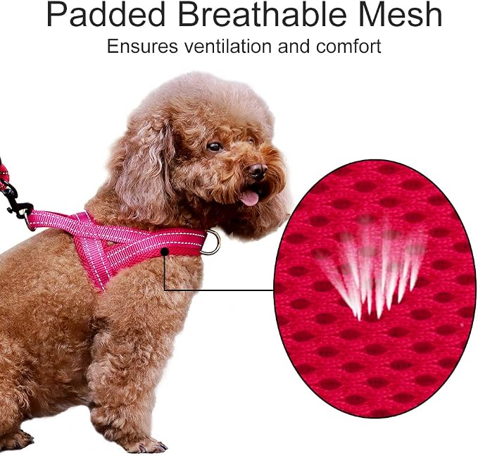 Plutus Pet No Pull Dog Harness - Image 3