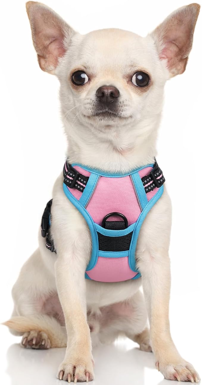 rabbitgoo Dog Harness No Pull by rabbitgoo