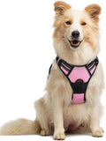 rabbitgoo Dog Harness No Pull by rabbitgoo