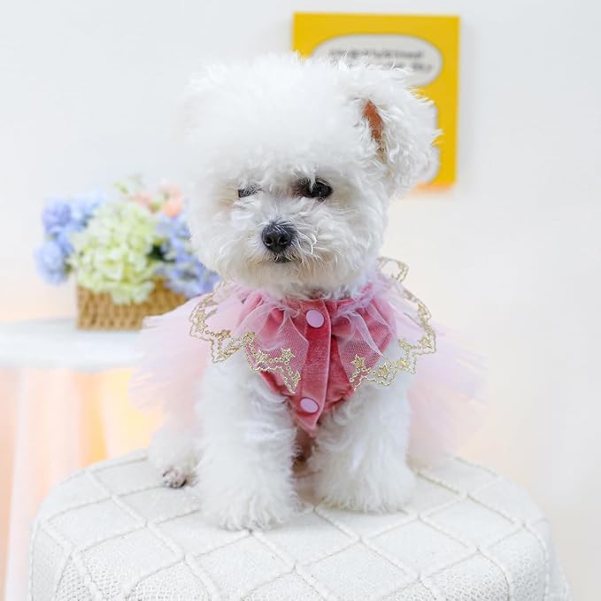 Fashion Sweet Puppy Dog Blingbling Princess Skirt Pet Dog Lace Cake Camisole - Image 5