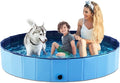 Jasonwell Foldable Dog Pool Collapsible Hard Plastic Swimming Pool Portable Kiddie/Pet Pool Doggie Wading Pool Bath Tub for Puppy Small Medium Large Dogs Cats and Kids 71" by Jasonwell
