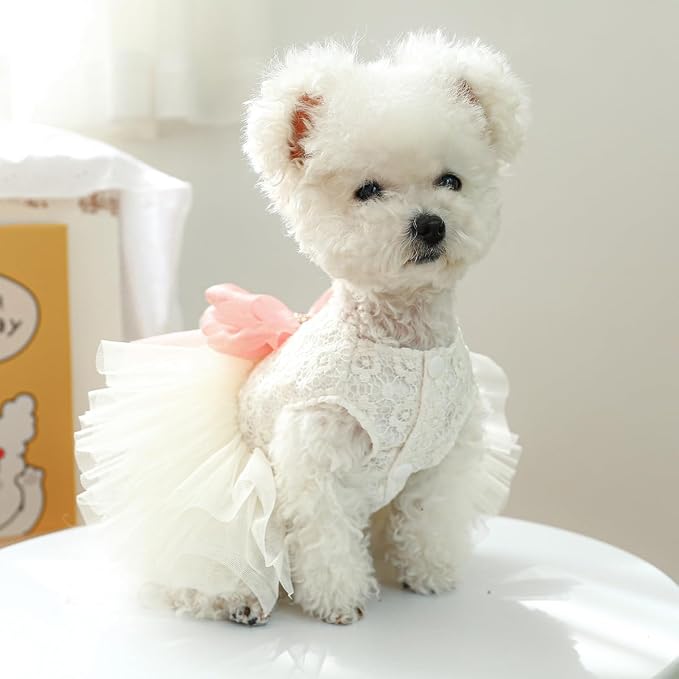 Fashion Sweet Puppy Dog Blingbling Princess Skirt Pet Dog Lace Cake Camisole - Image 4