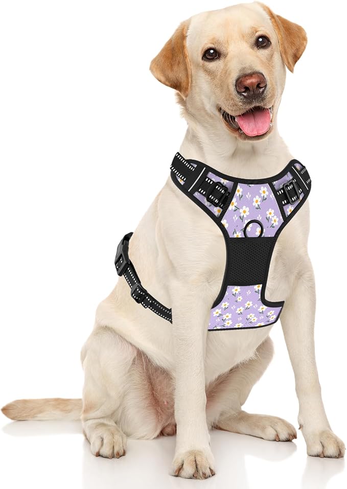 Rnivvi No Pull Dog Harness, Cute Flower Reflective Medium Sized Puppy Harness - Image 2