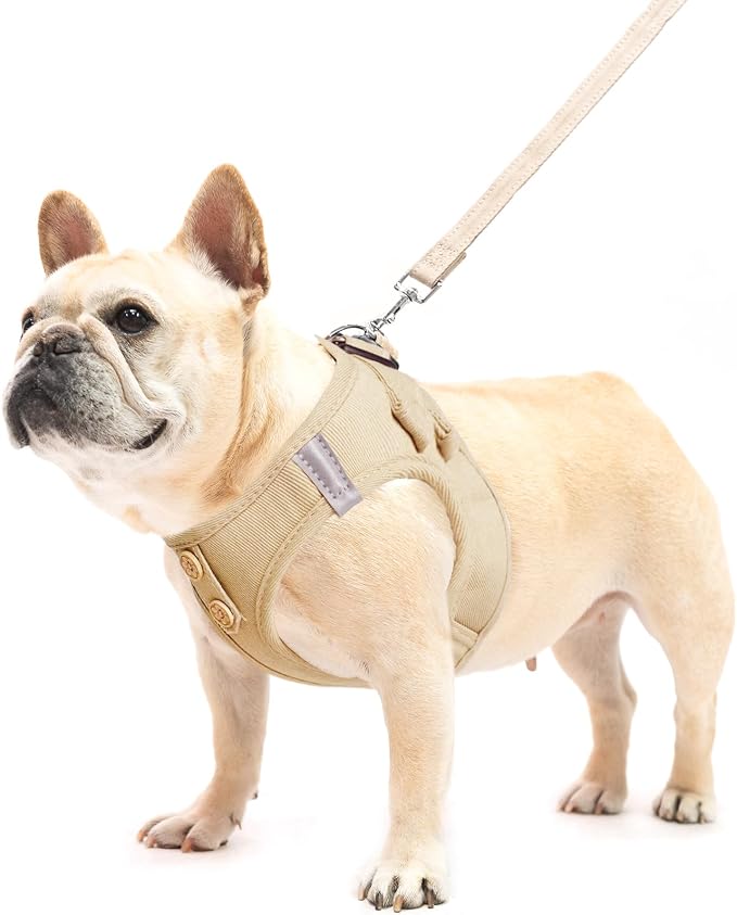 PUPTECK Dog Harness and Leash Set - Image 2