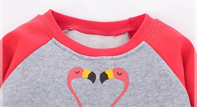 RETSUGO Toddler Baby Girls Sweatshirts Casual Pullover Crewneck Winter Long - Image 3