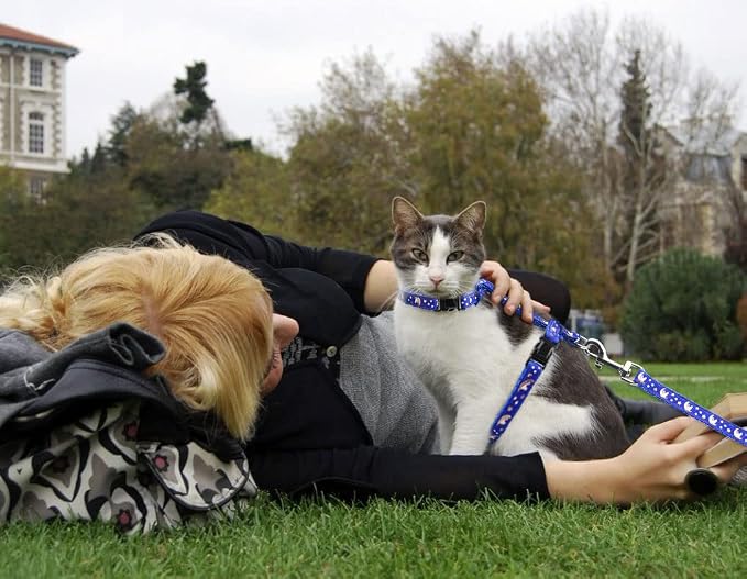 Cat Harness and Leash Set Gold Moons Soft Nylon Escape Proof Adjustable - Image 7