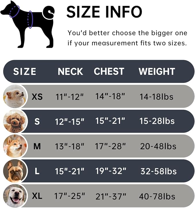 IVY&LANE No Pull Dog Harness for Medium Dogs, Dog Vest Harness - Image 2