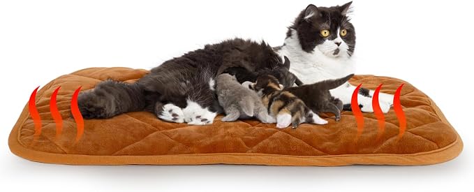 NAMOTEK Self-Warming Cat Bed Indoor/Outdoor Super Soft Self Heating Pet Mat by NAMOTEK