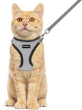 Rttochfy Cat Harness and Leash Set, Escape Proof Kitten Harness, Soft and by Rttochfy