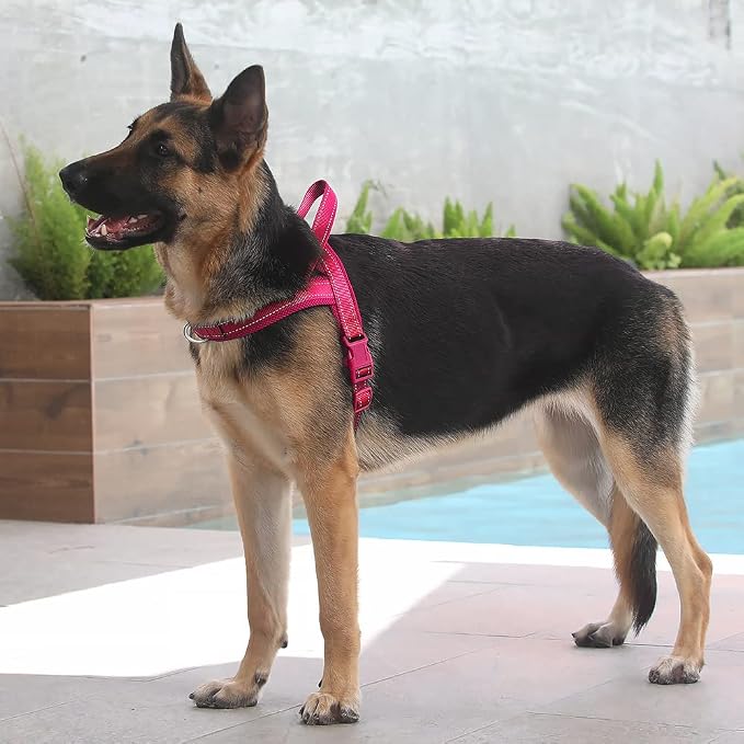 Plutus Pet No Pull Dog Harness - Image 5