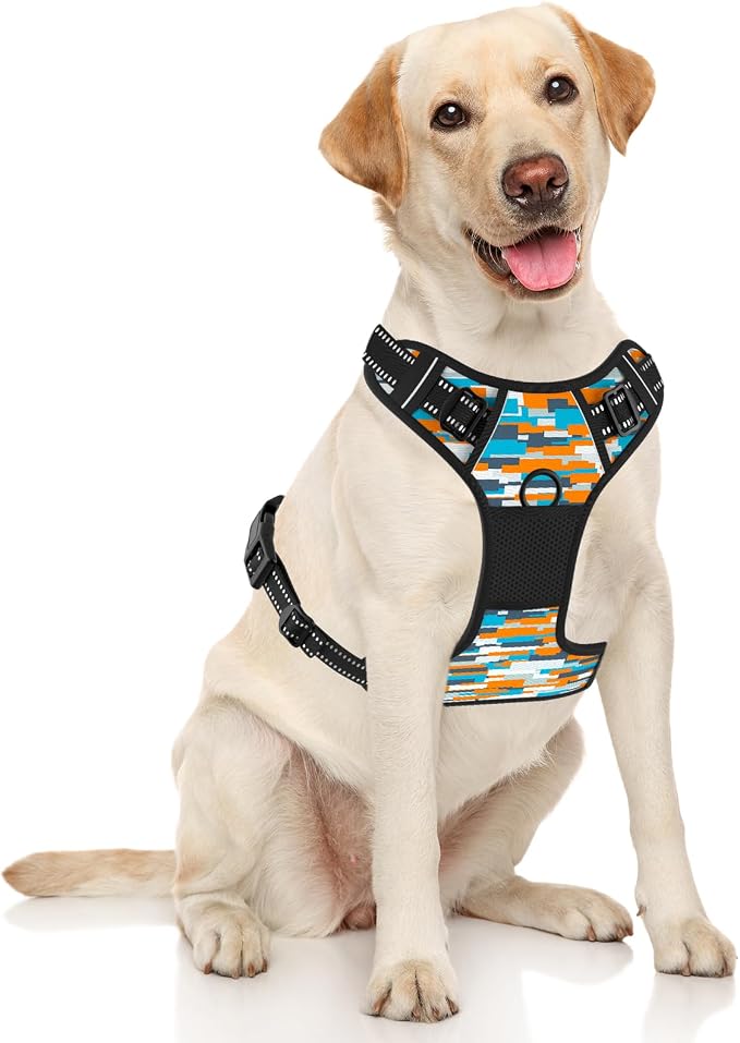Rnivvi No Pull Dog Harness, Cute Boho Reflective Medium Sized Puppy Kitten - Image 2