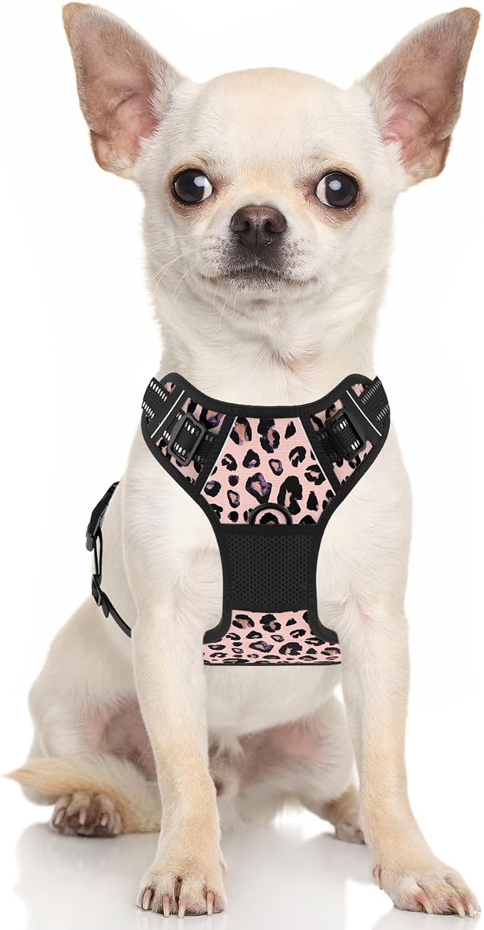 Rnivvi No Pull Dog Harness, Cute Leopard Reflective X-Small Sized Puppy Kitten - Image 2