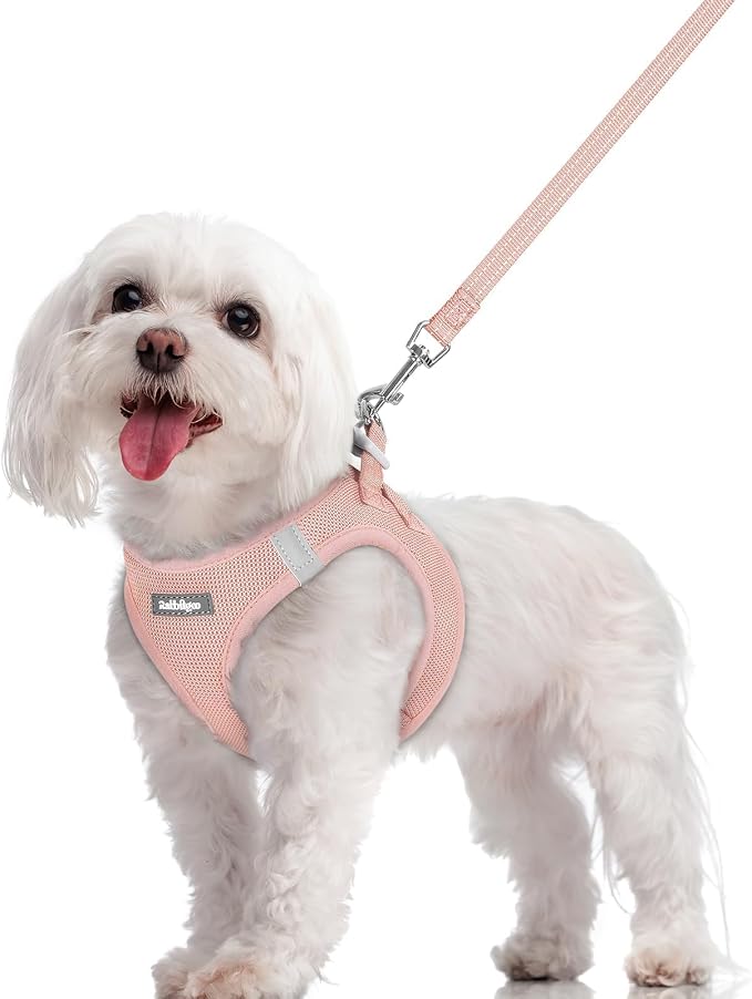 rabbitgoo Dog Harness Small Sized and Leash Set, Step in Soft Light Puppy Vest by rabbitgoo