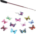 SONGWAY Cat Butterfly Toys by SONGWAY