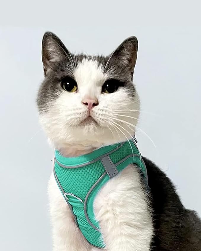 Joytale Small Dog Harness, Breathable Mesh Step-in Vest, Reflective Soft Padded - Image 2
