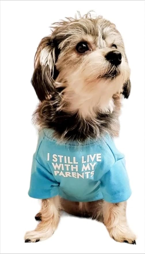 Cute Dog Clothes, T Shirt for Medium and Small Dogs Girl Boy, Puppy.Breathable - Image 6