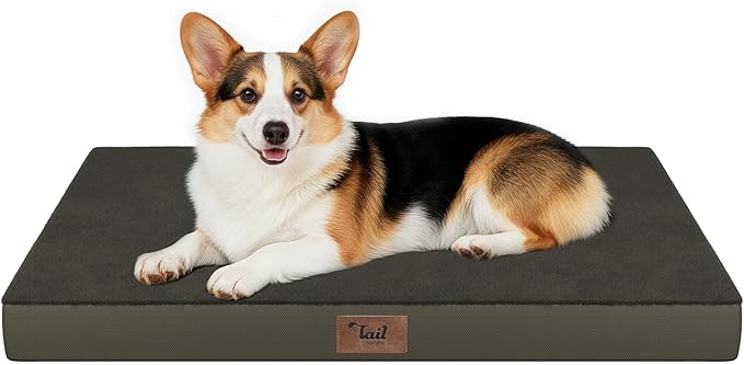 Orthopedic Dog Bed for Large Dogs, Plush Washable Pet Bed for Large Size Dogs by TailStories