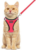 Rttochfy Cat Harness and Leash Set, Escape Proof Kitten Harness, Soft and by Rttochfy