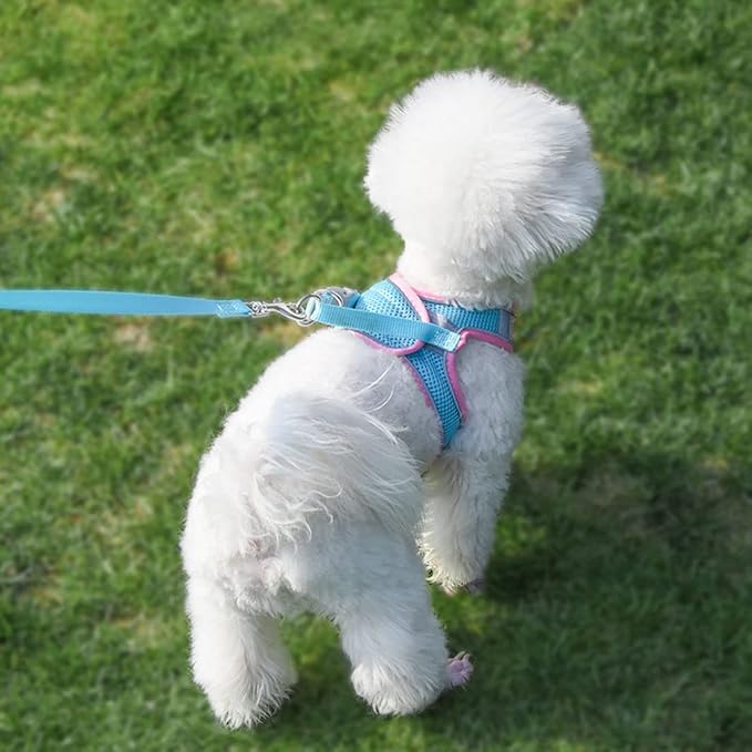 Dog Harness for Medium Dogs, No-Pull Dog Harness and Leash Set for Easy Walk - Image 6