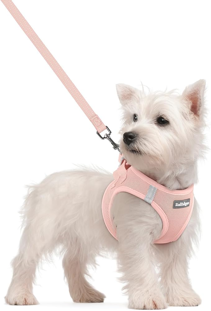 rabbitgoo Dog Harness Small Sized and Leash Set, Step in Soft Light Puppy Vest by rabbitgoo