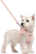 rabbitgoo Dog Harness Small Sized and Leash Set, Step in Soft Light Puppy Vest by rabbitgoo
