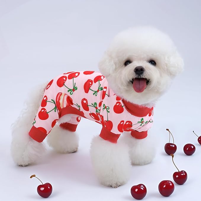 XPUDAC 4 Pieces Dog Pajamas for Small Dogs Boy Girl Soft Stretchy Pjs Onesies - Image 2