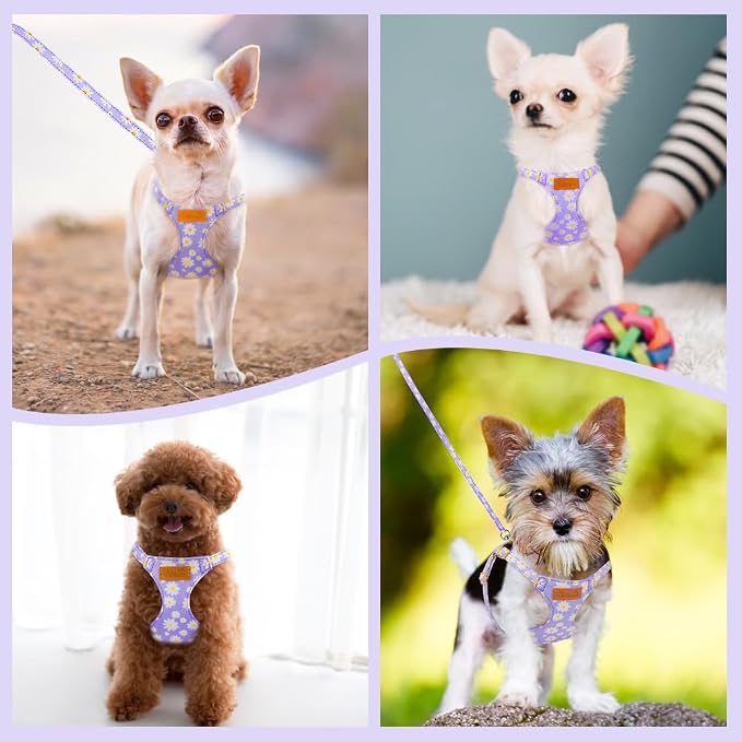 SlowTon Dog Harness Small Sized Dog - Image 7