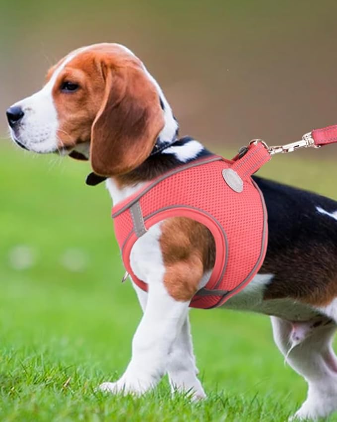 Joytale Small Dog Harness, Breathable Mesh Step-in Vest, Reflective Soft Padded - Image 2