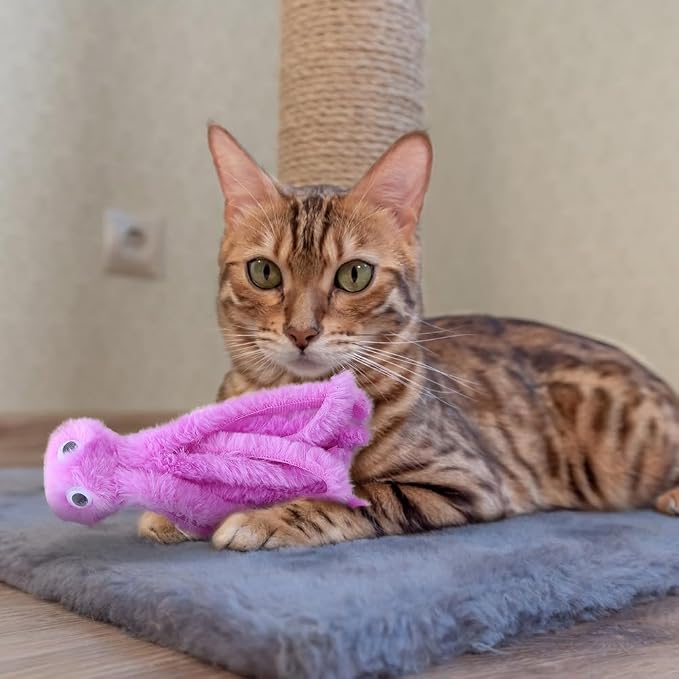 DONGKER Cat Plush Toys - Image 9